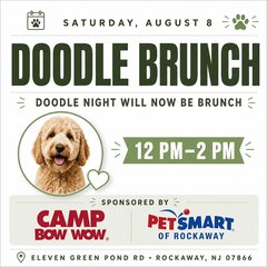 SATURDAY, AUGUST 8
DOODLE BRUNCH
DOODLE NIGHT WILL NOW BE BRUNCH
12 PM-2 PM
CAMP BOW WOW.
SPONSORED BY PETSMART.
OF ROCKAWAY
ELEVEN GREEN POND RD • ROCKAWAY, NJ 07866