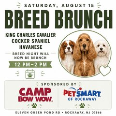 SATURDAY, AUGUST 15
BREED BRUNCH
KING CHARLES CAVALIER
COCKER SPANIEL
HAVANESE
BREED NIGHT WILL NOW BE BRUNCH
12 PM -2 PM
- SPONSORED BY
CAMP
PETSMART
BOW WOW.
OF ROCKAWAY
ELEVEN GREEN POND RD • ROCKAWAY, NJ 07866