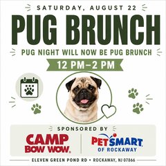 SATURDAY, AUGUST 22
PUG BRUNCH
PUG NIGHT WILL NOW BE PUG BRUNCH
12 PM -2 PM
SPONSORED BY
CAMP BOW WOW.
PET'SMART
OF ROCKAWAY
ELEVEN GREEN POND RD • ROCKAWAY, NJ 07866
